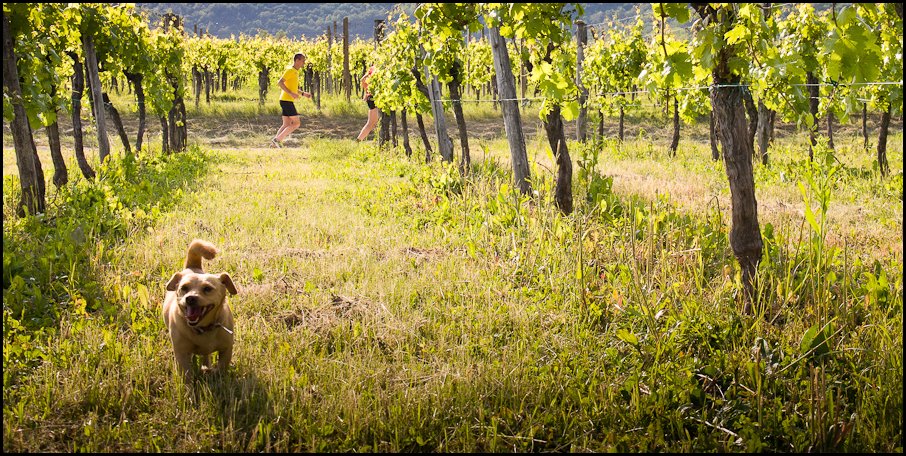 Runners - Correre nella Valli del Natisone