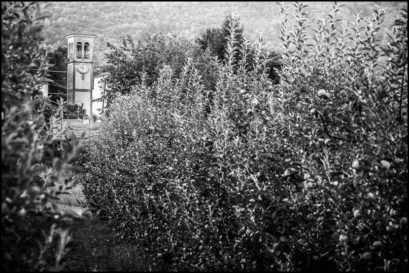 Scampanatori a Lasiz - Valli del Natisone - Friuli