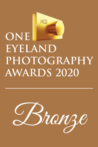 One Eye land Bronze Prize