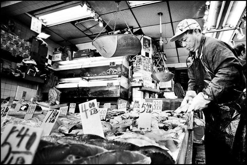 Street Photography in New York City