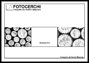 pdf numismatica