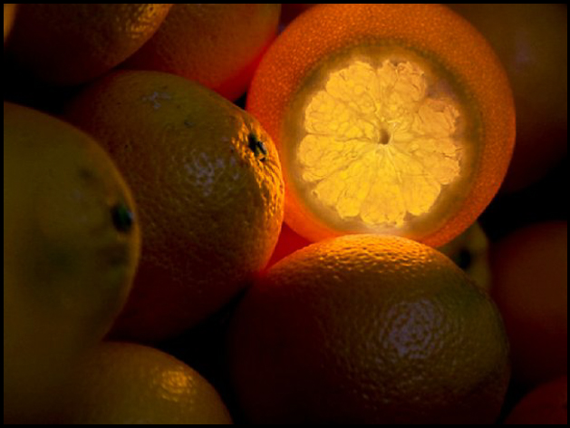 fotocerchi - arancia