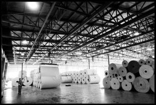 far ast paper industry